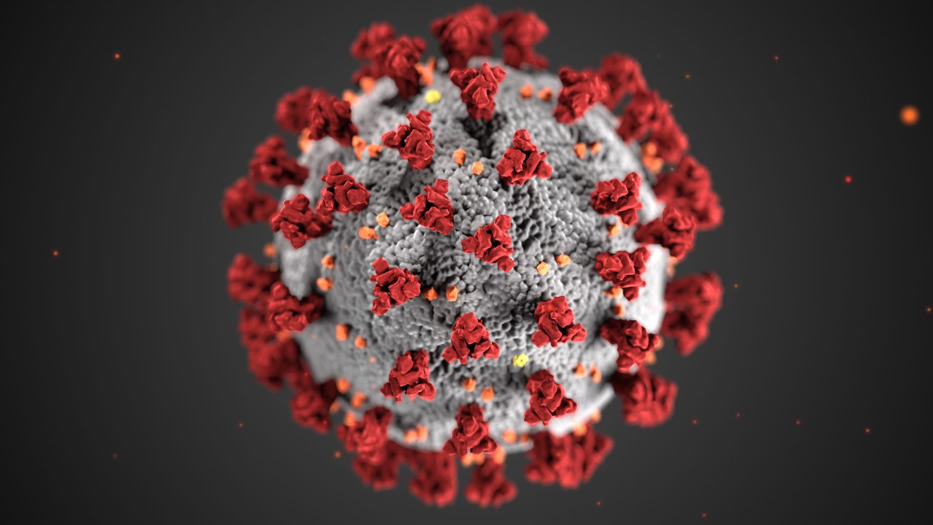 Coronavirus particle